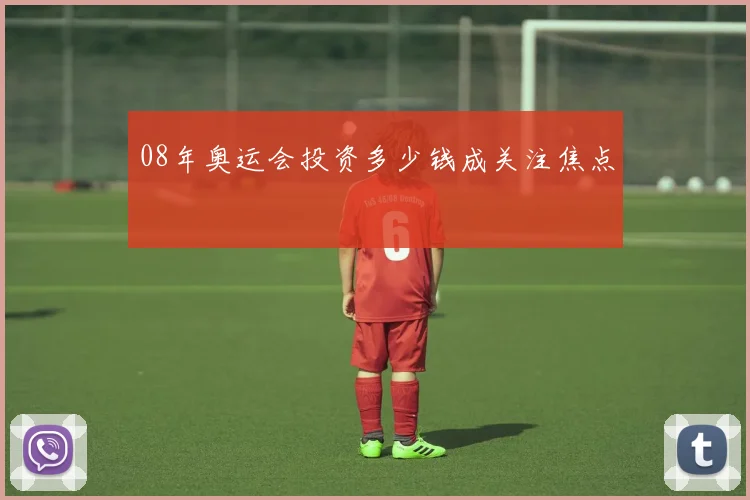 08年奥运会投资多少钱成关注焦点