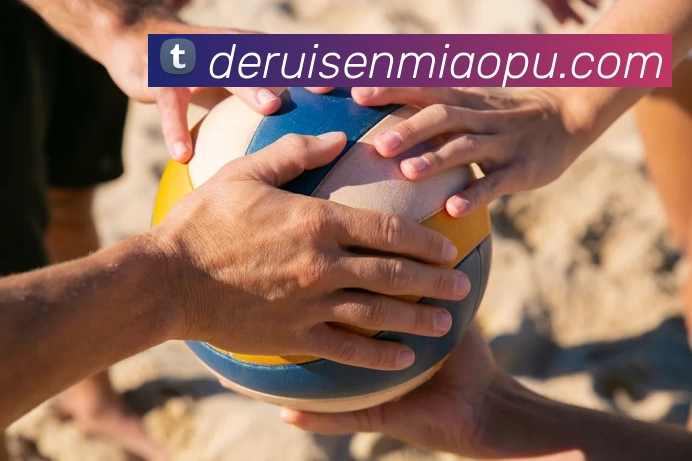 App Interface Preview